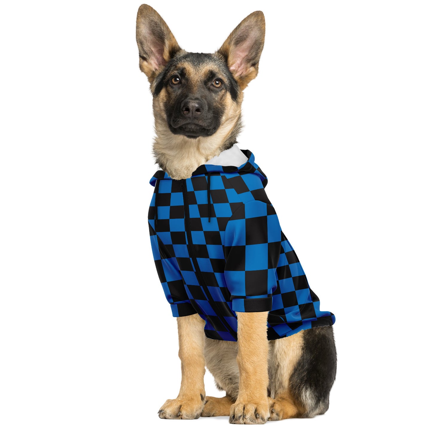 Dog Hoodie | E-Squared Royal