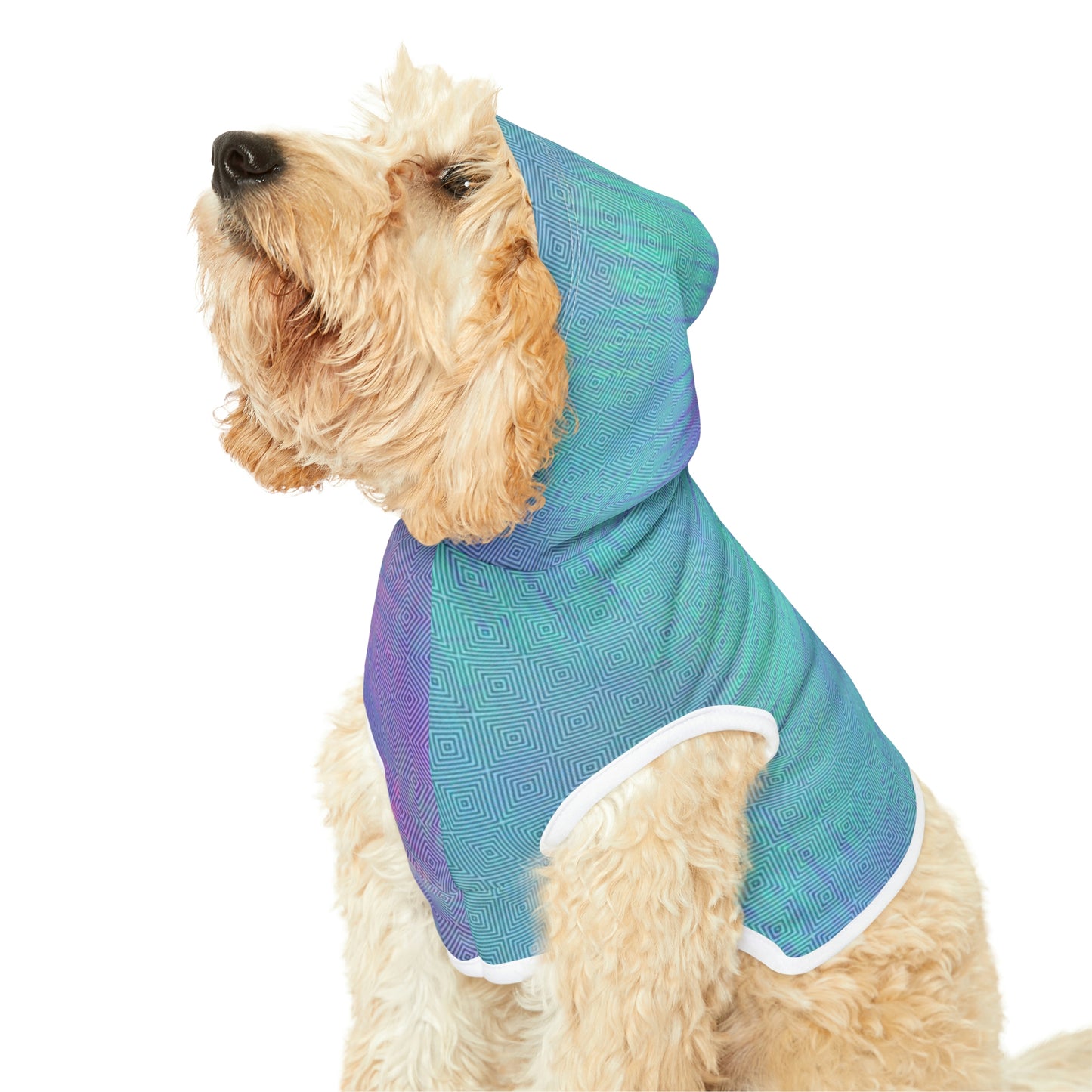 Tie Dye Matching Summer Dog Hoodie | E-Squared