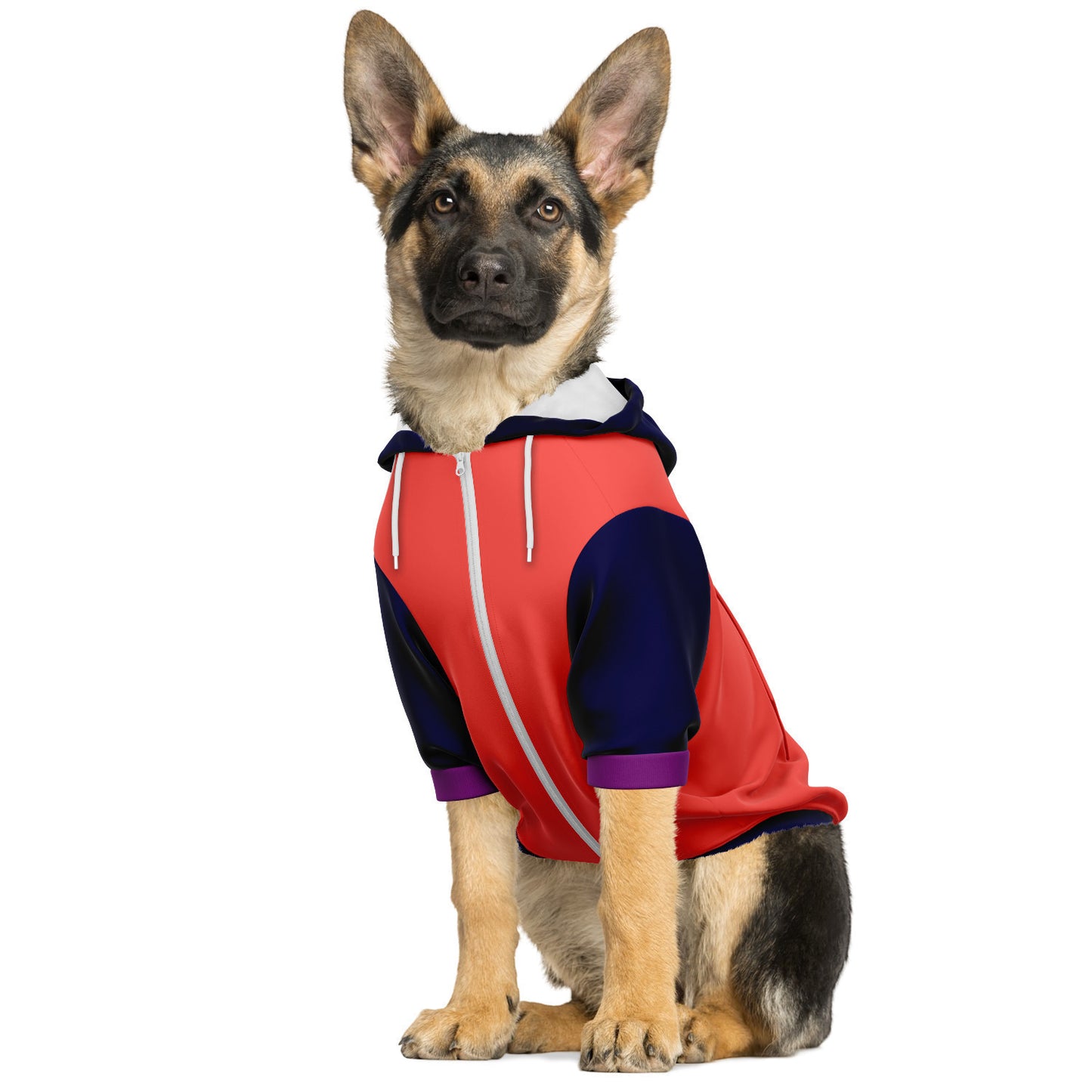 Color Block Hoodie | Regal