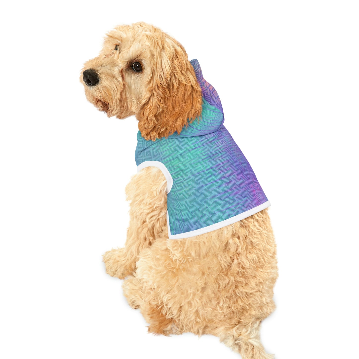 Tie Dye Matching Summer Dog Hoodie | E-Squared