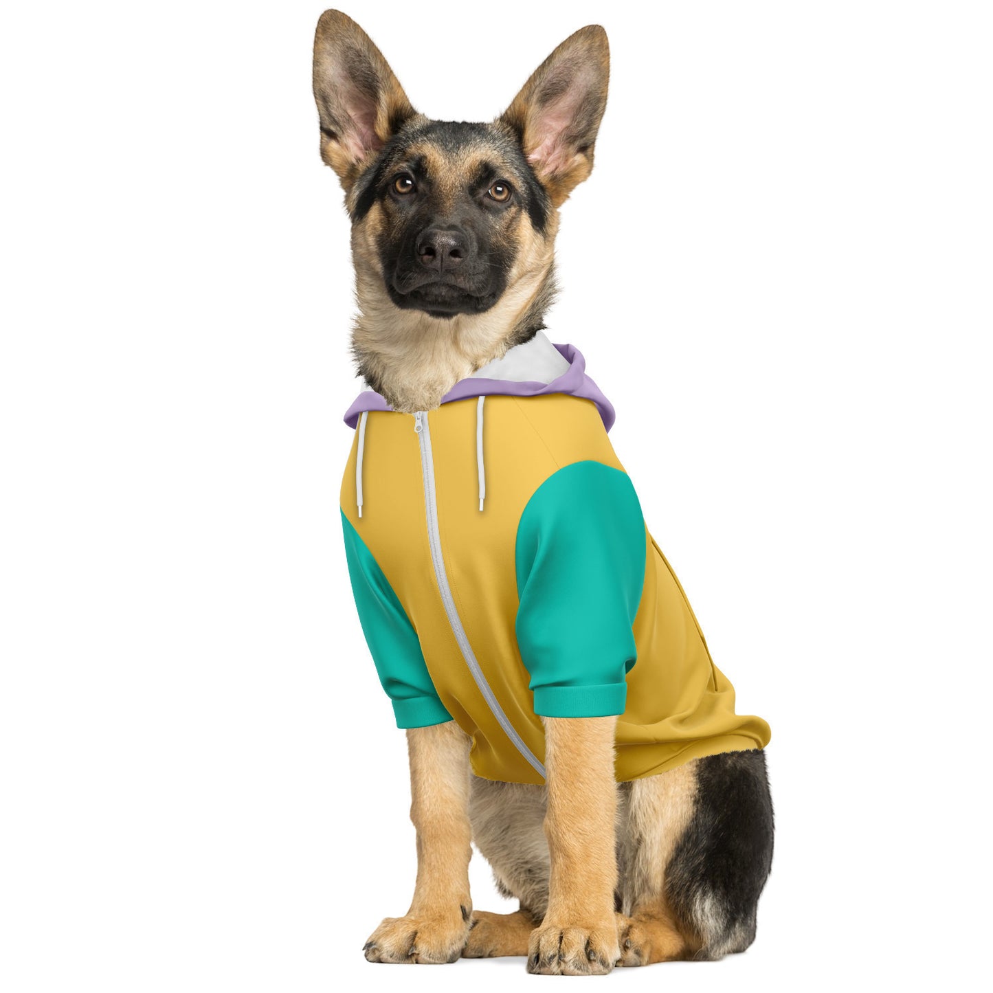 Color Block Hoodie | Morning Glory