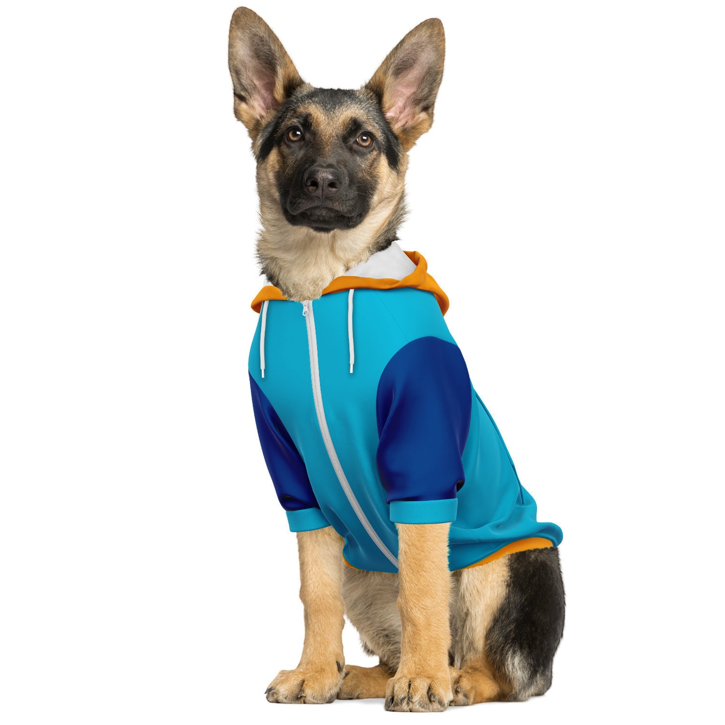 Color Block Hoodie | Malibu