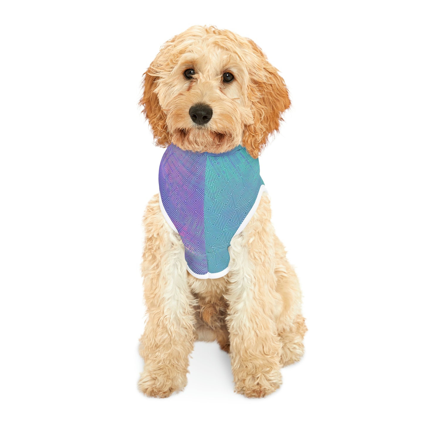 Tie Dye Matching Summer Dog Hoodie | E-Squared