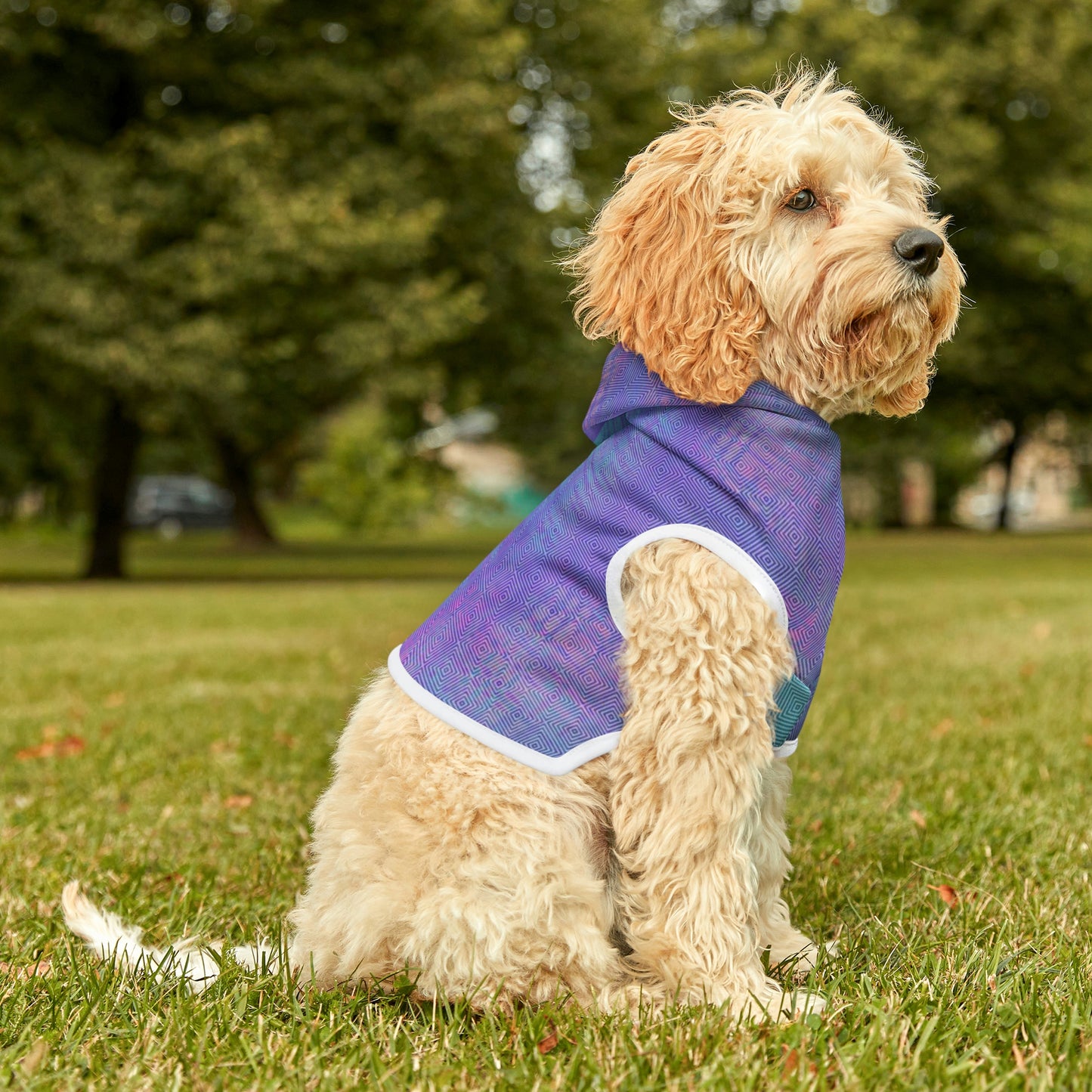 Tie Dye Matching Summer Dog Hoodie | E-Squared