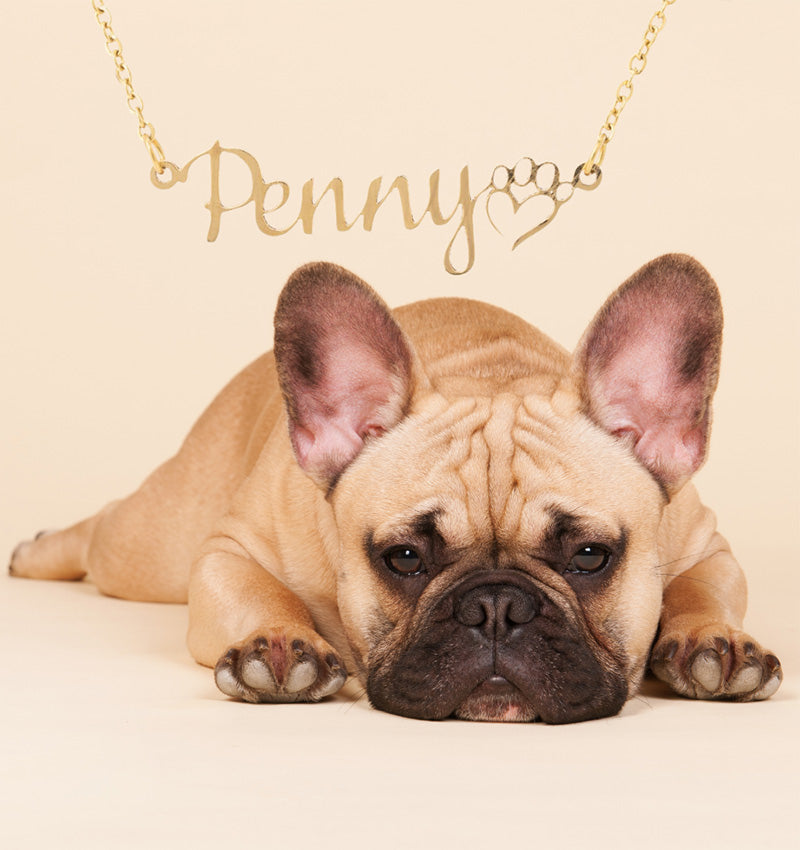 Personalized Dog Mom Necklace