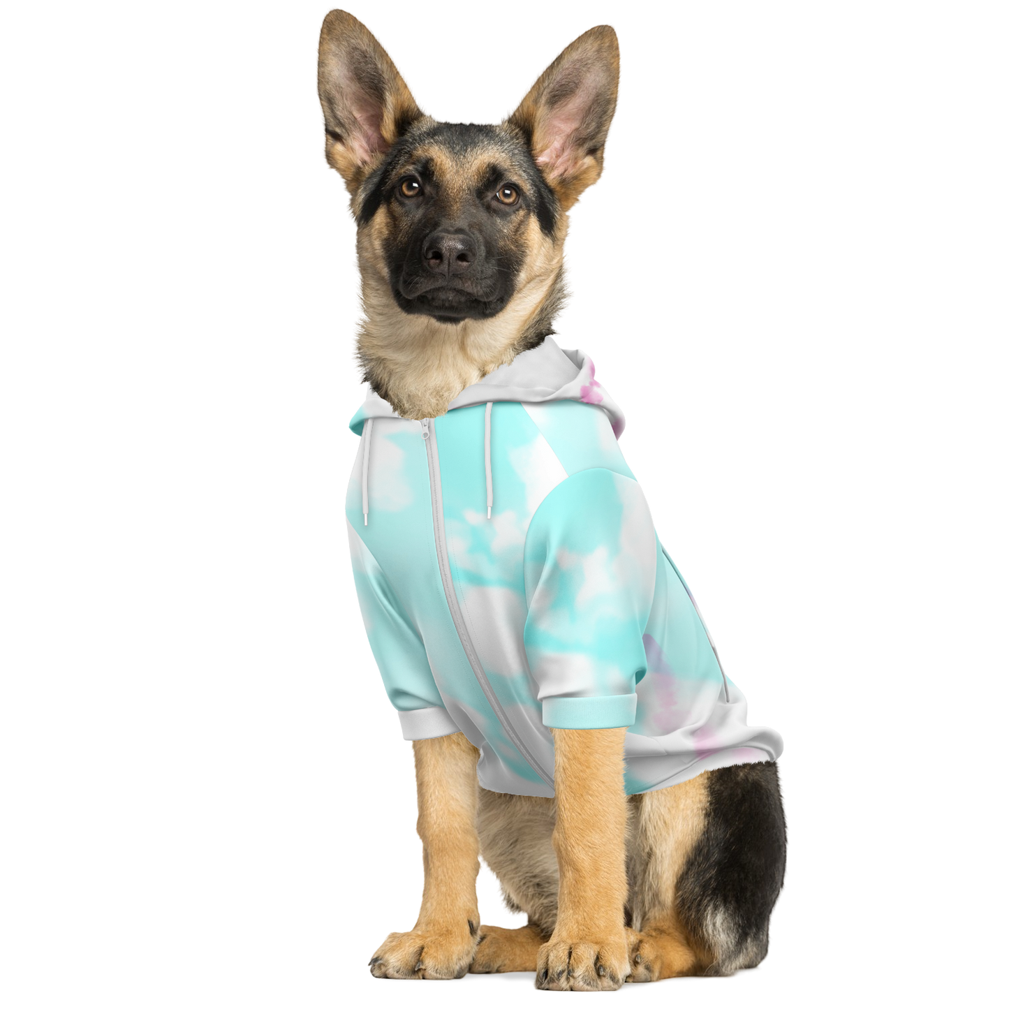 To-Dye-For Dog Hoodie | Snow Cone
