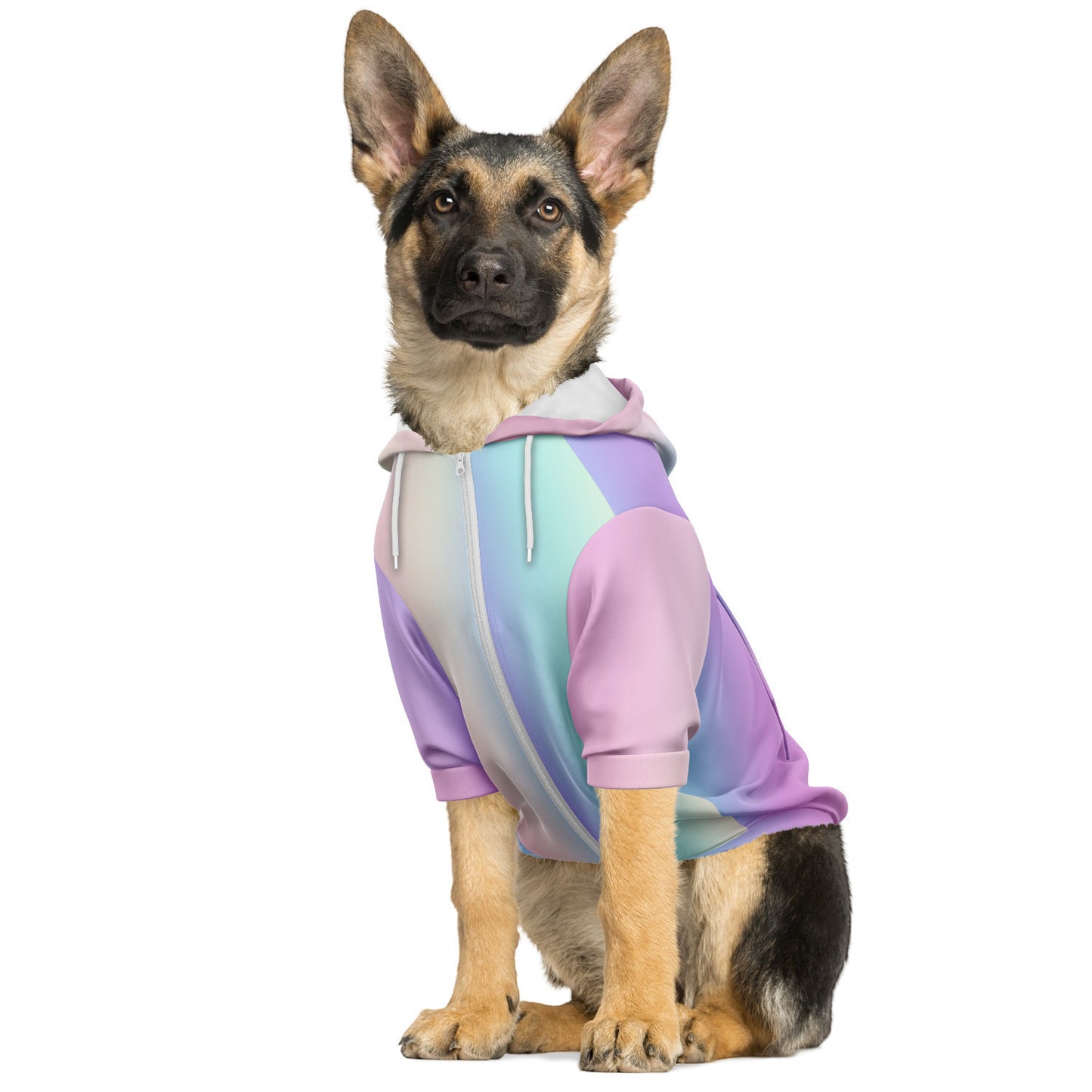 Hologram Hoodie