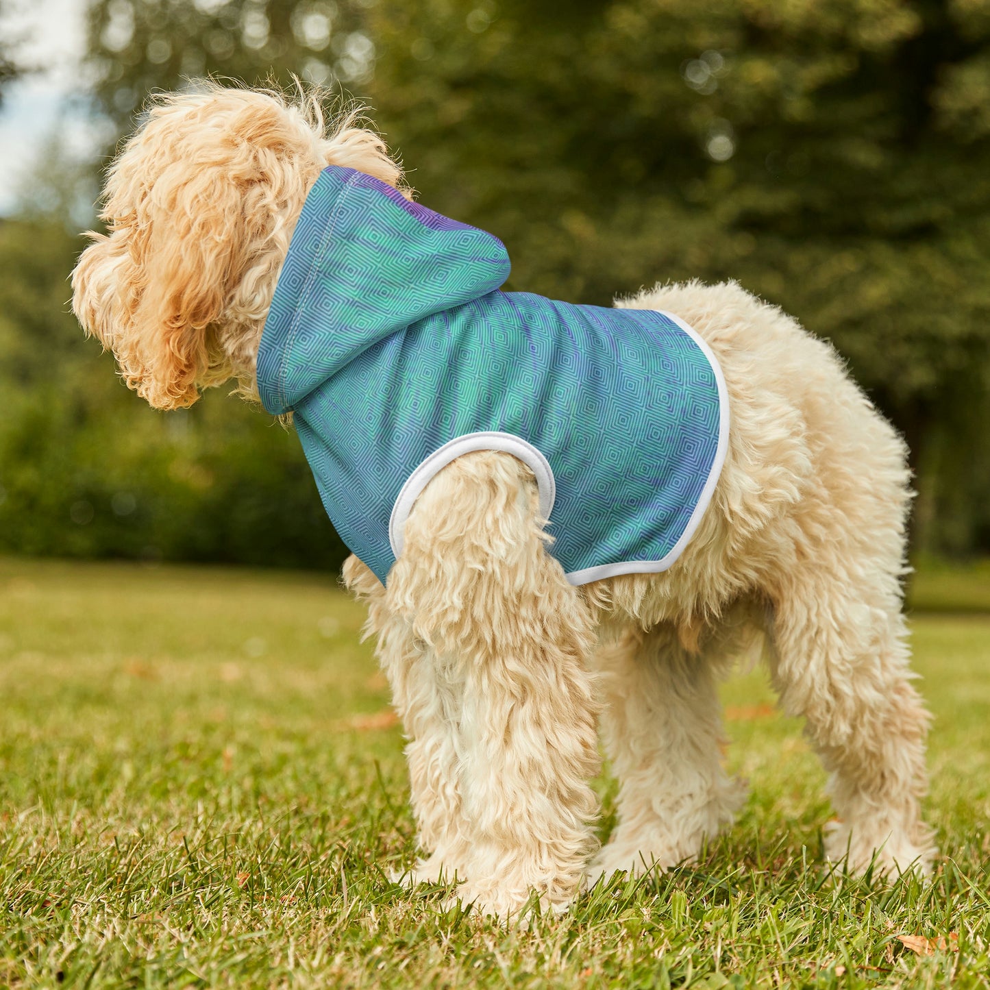 Tie Dye Matching Summer Dog Hoodie | E-Squared