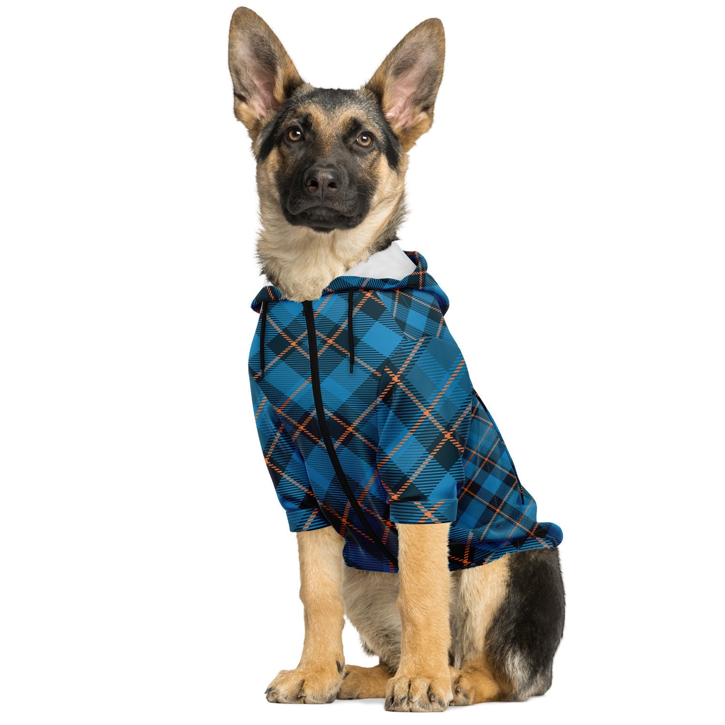Tartan Pup Hoodie | Blue Boy