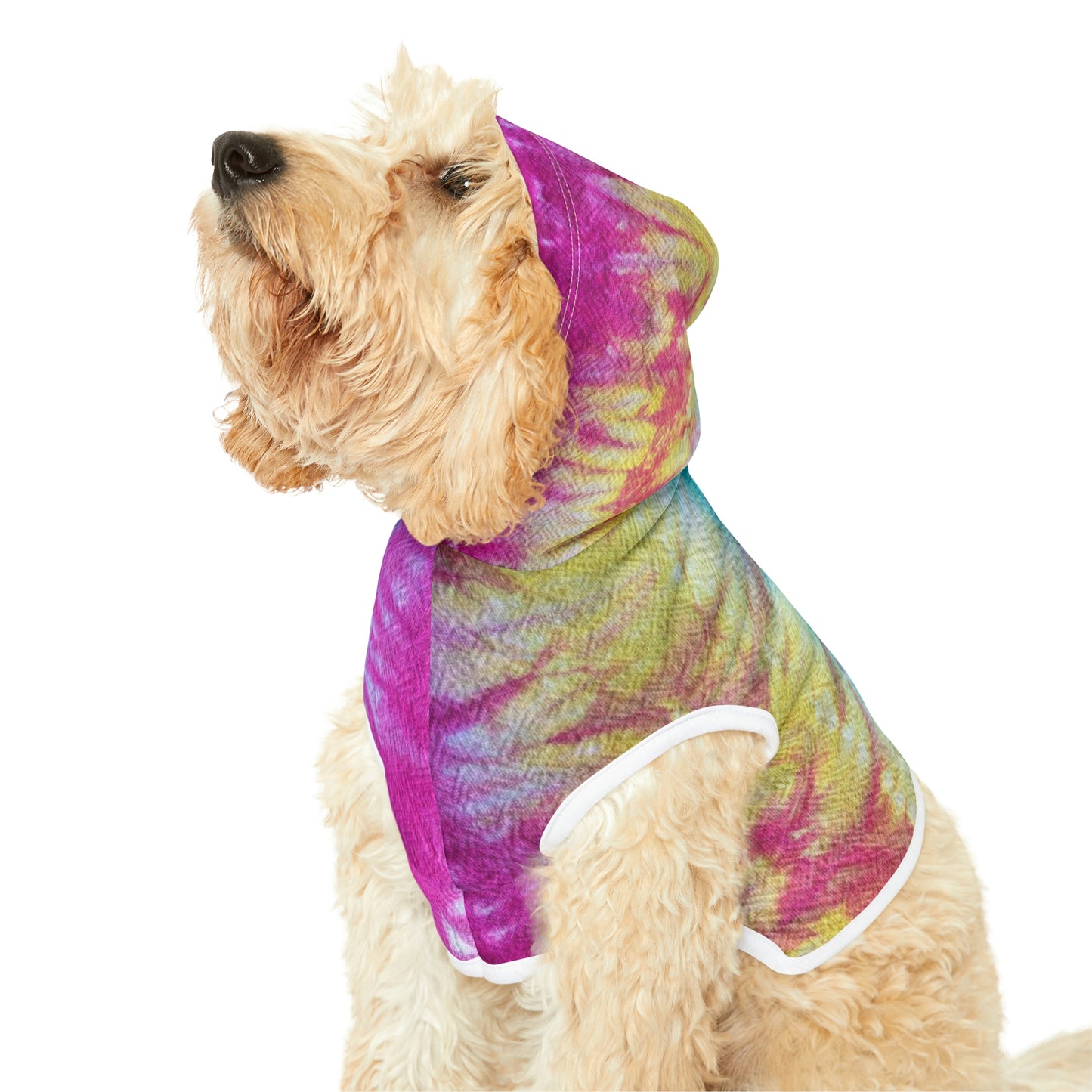 Tie Dye Matching Summer Dog Hoodie | Snow Cone