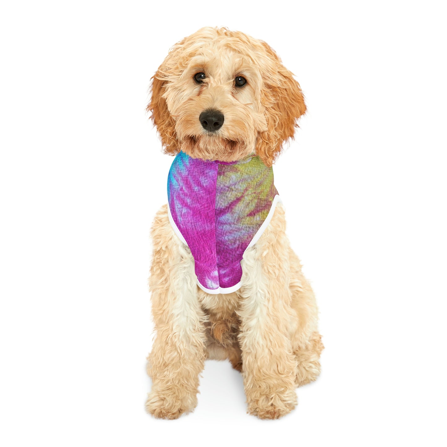 Tie Dye Matching Summer Dog Hoodie | Snow Cone