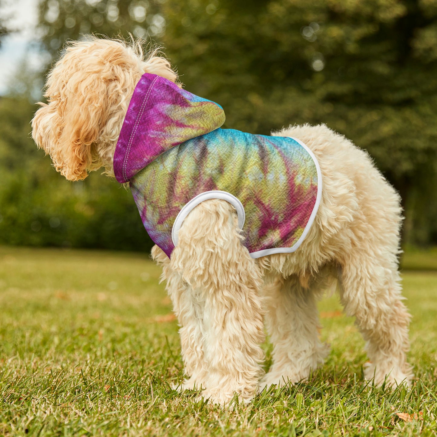 Tie Dye Matching Summer Dog Hoodie | Snow Cone