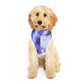 Tie Dye Matching Summer Dog Hoodie | Iris