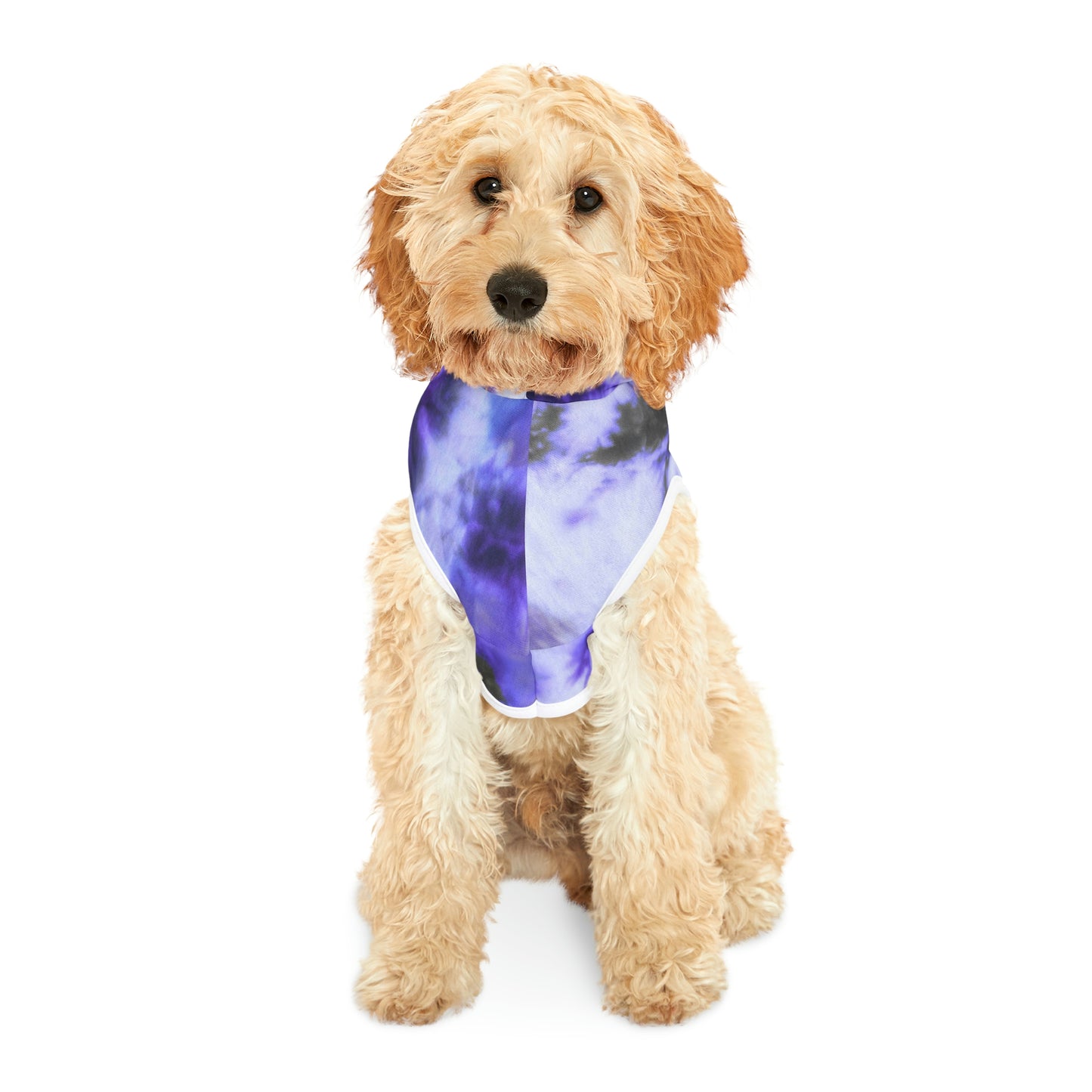 Tie Dye Matching Summer Dog Hoodie | Iris