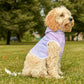 Tie Dye Matching Summer Dog Hoodie | Hydrangea