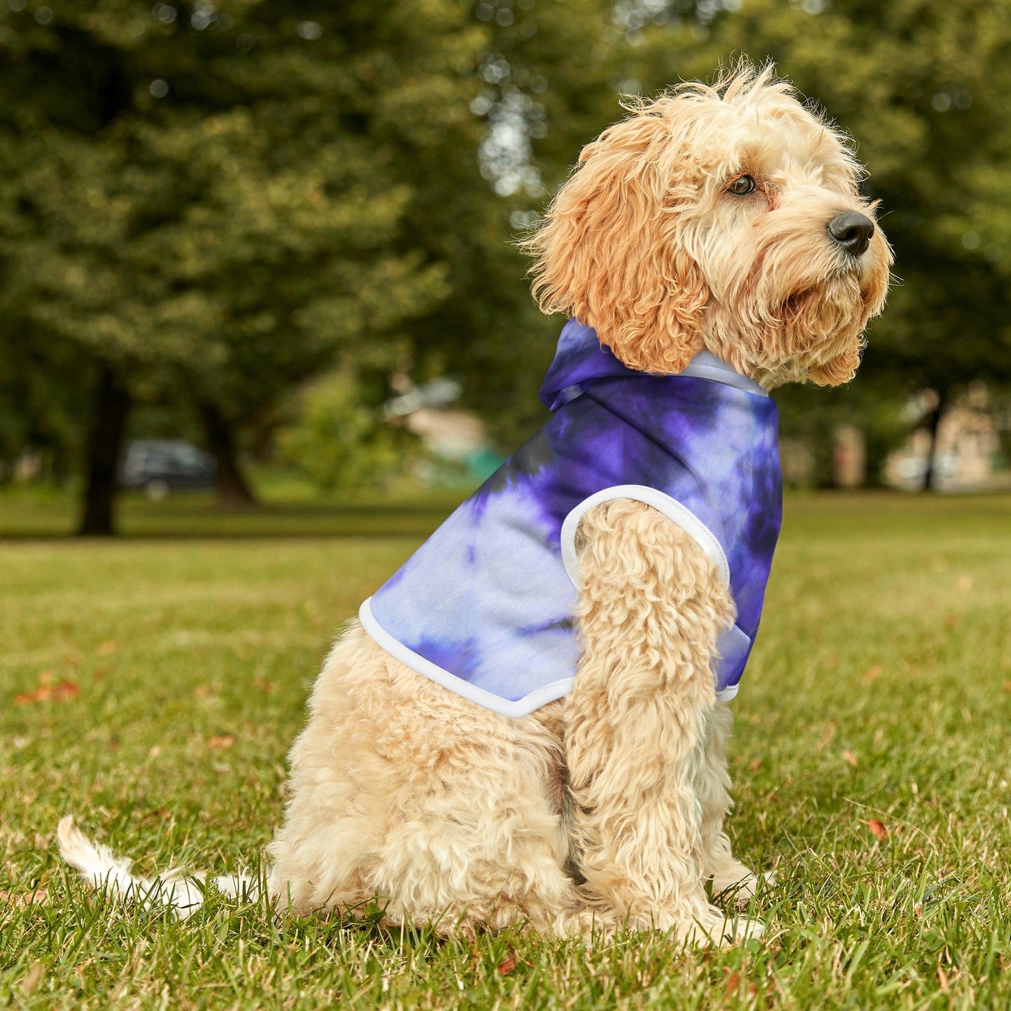 Tie Dye Matching Summer Dog Hoodie | Iris