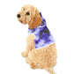 Tie Dye Matching Summer Dog Hoodie | Iris