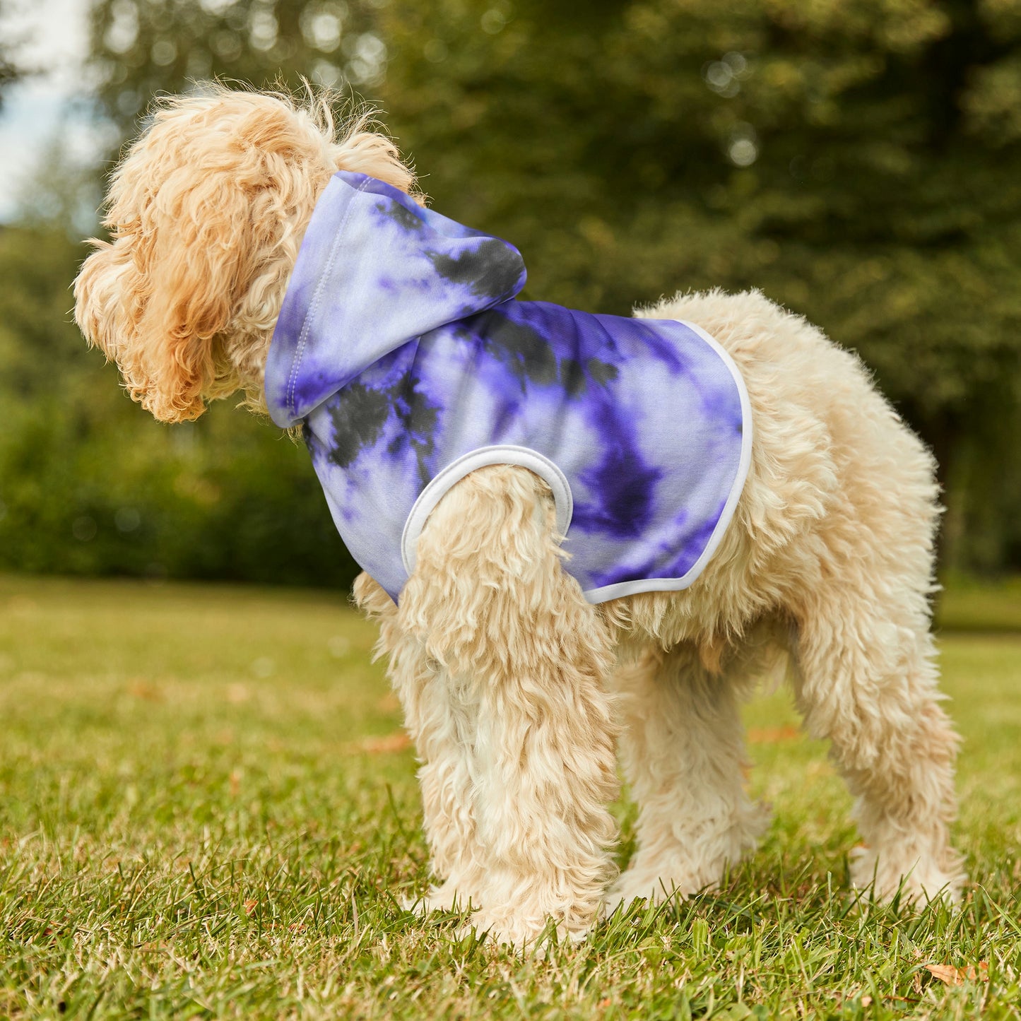 Tie Dye Matching Summer Dog Hoodie | Iris