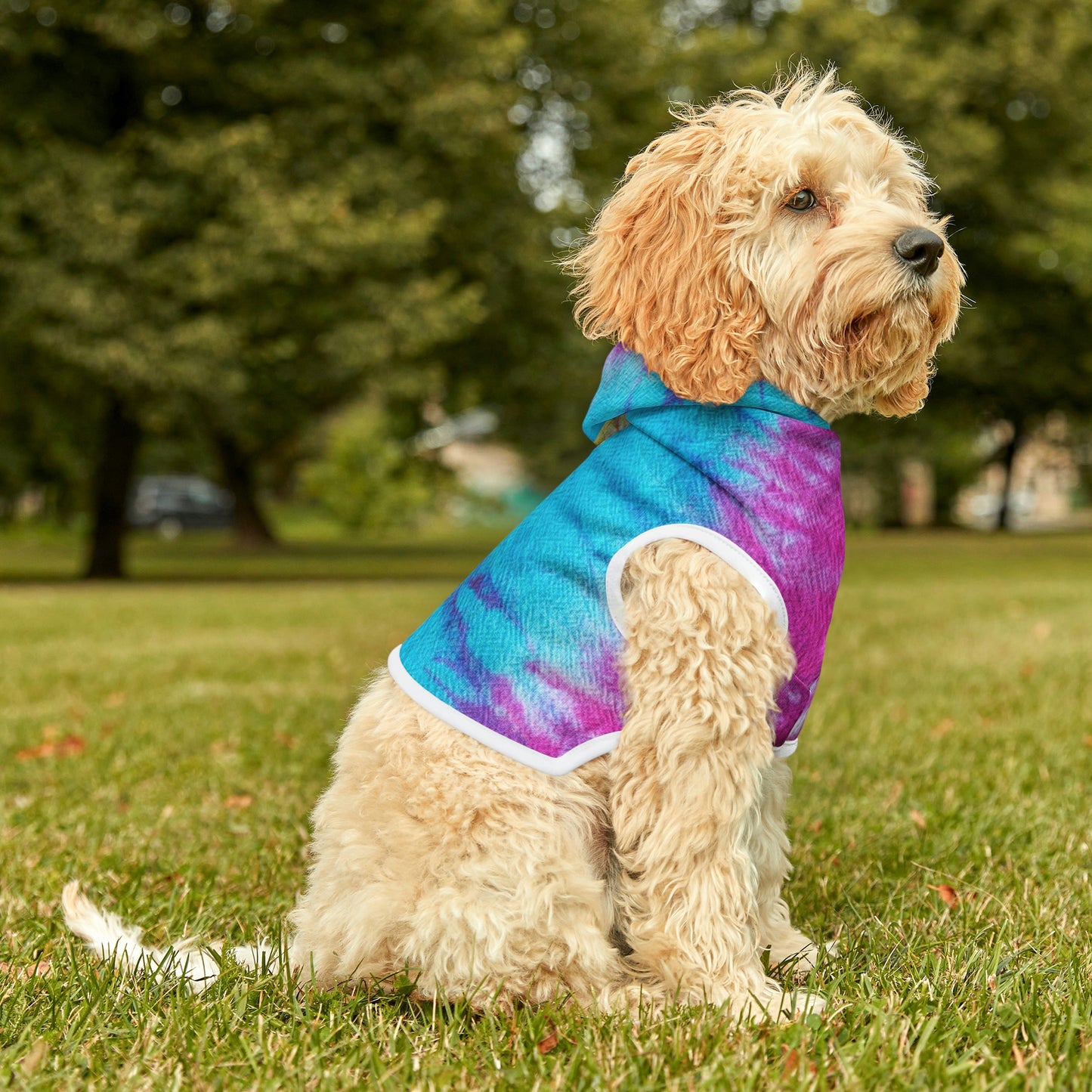 Tie Dye Matching Summer Dog Hoodie | Snow Cone