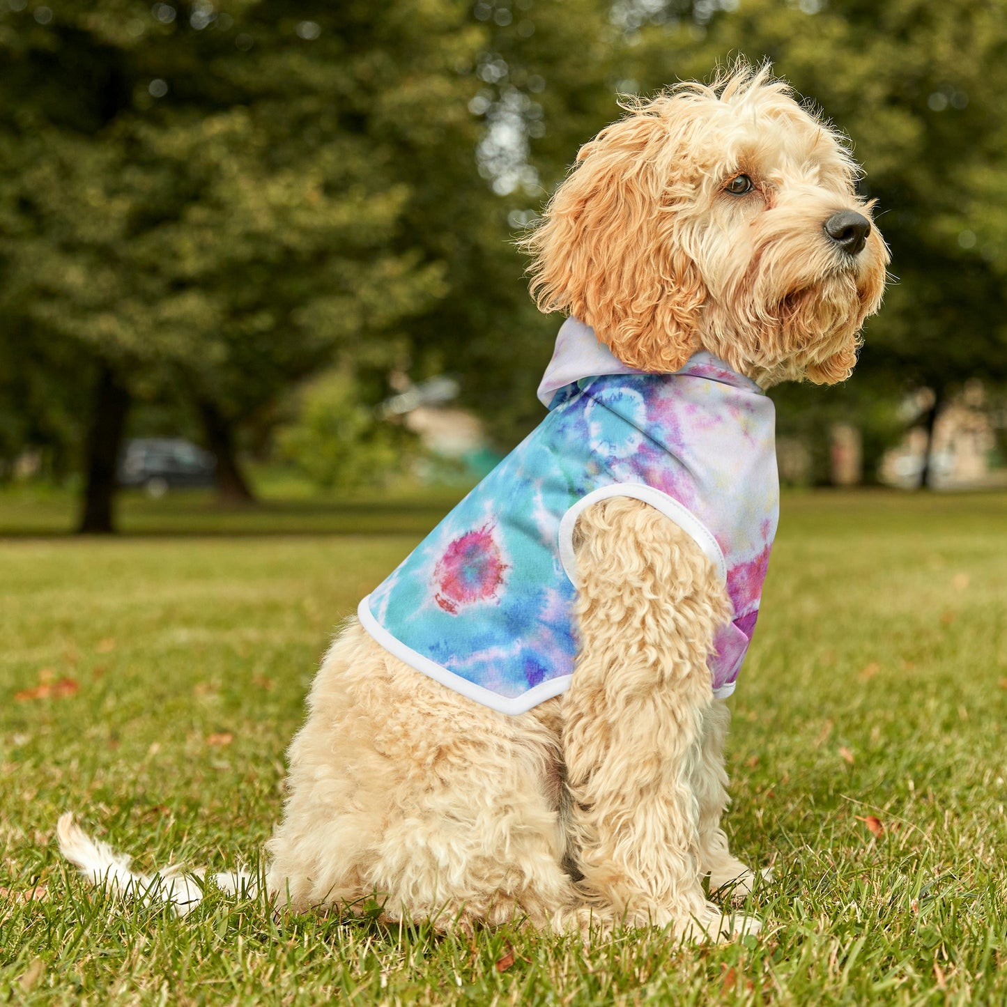 Tie Dye Matching Summer Dog Hoodie | Jewel