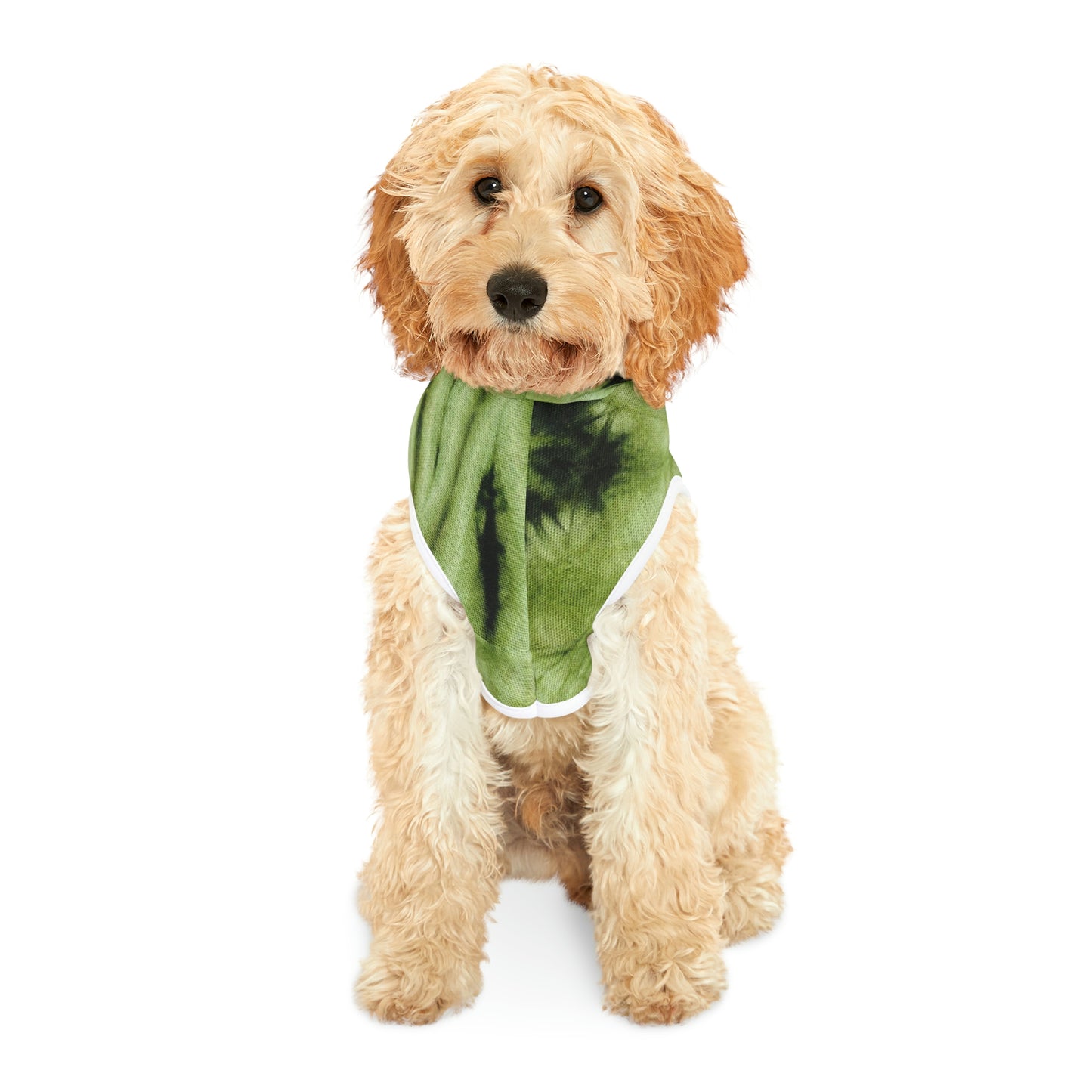 Tie Dye Matching Summer Dog Hoodie | Sea Kelp