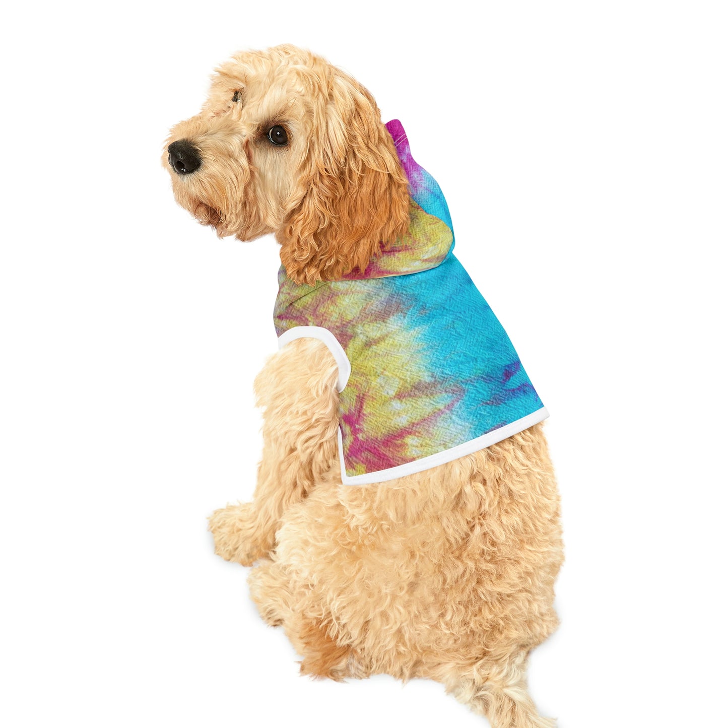 Tie Dye Matching Summer Dog Hoodie | Snow Cone